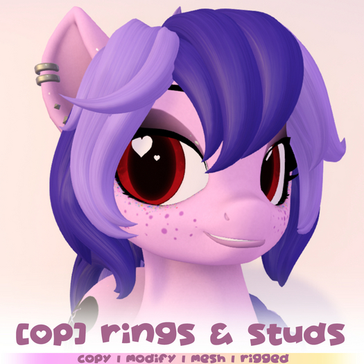 [OP] Interchangeable Ear Rings and Diamond Studs