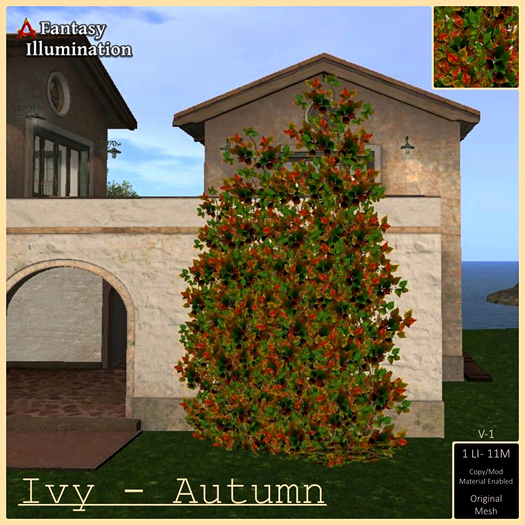 Ivy - Autumn