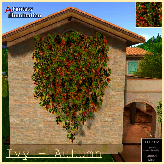 Ivy - Autumn