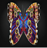 {Papillon} Fe/Sma/Vib/Qin/Butterfly/8thA Cocoon