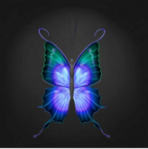 {Papillon} Ma/Mon/Nor/Fuu/Butterfly/BeautifulW Cocoon