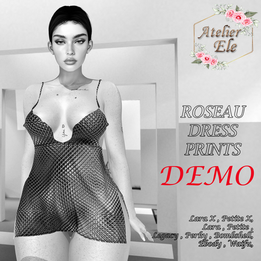 {AE} [ DEMO ] ROSEAU  DRESS PRINTS