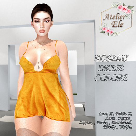 {AE} ROSEAU  DRESS  COLORS