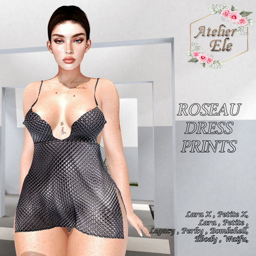{AE} ROSEAU  DRESS PRINTS
