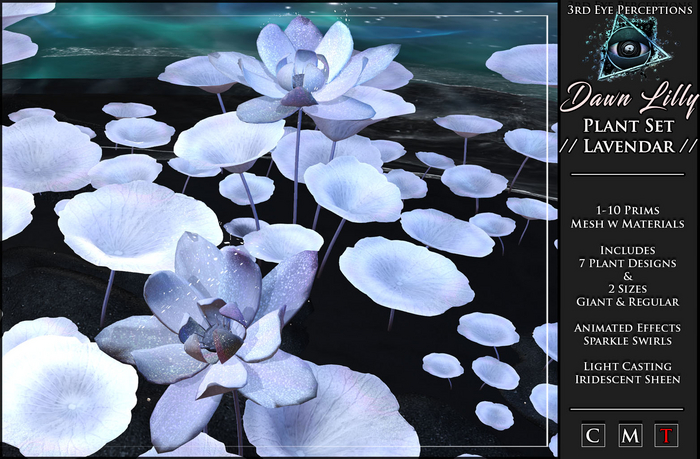 Dawn Lilly //  Lavendar Set