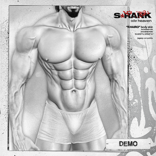 *DEMO* S-RANK "KHAIRO" BODY SKIN