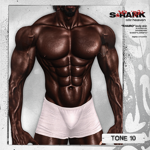 S-RANK "KHAIRO" BODY SKIN / TONE 10