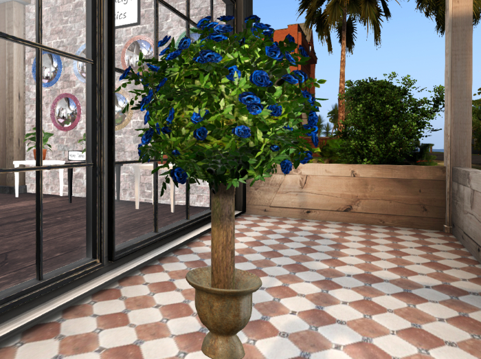 Topiary Tree Blue Roses Potted