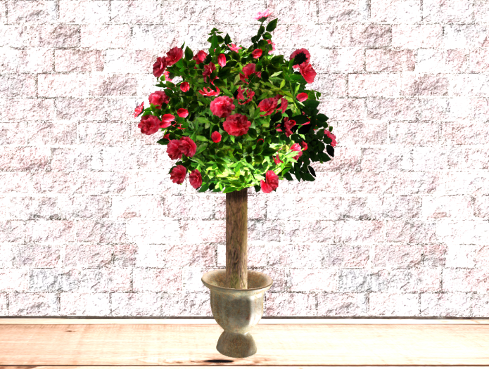 Rose Topiary Tree Potted