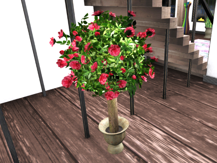 Rose Topiary Tree Potted with resizer
