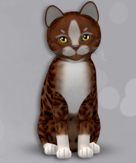 KittyCats Box 162