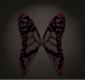 {Papillon} Ma/Sma/Nor/Rin/Butterfly/Hollow Cocoon