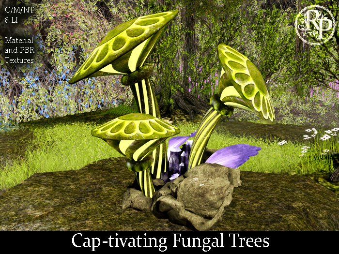(RP) Cap-tivating Fungal Trees