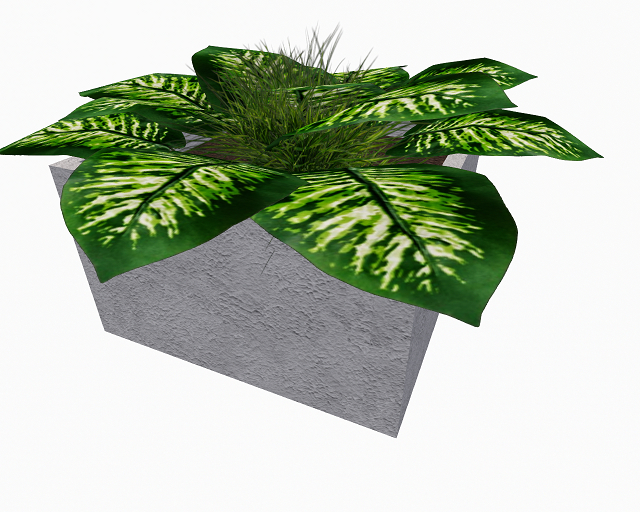 *'`'*Atheria Designs*'`'* Small Tropical Plant Potted