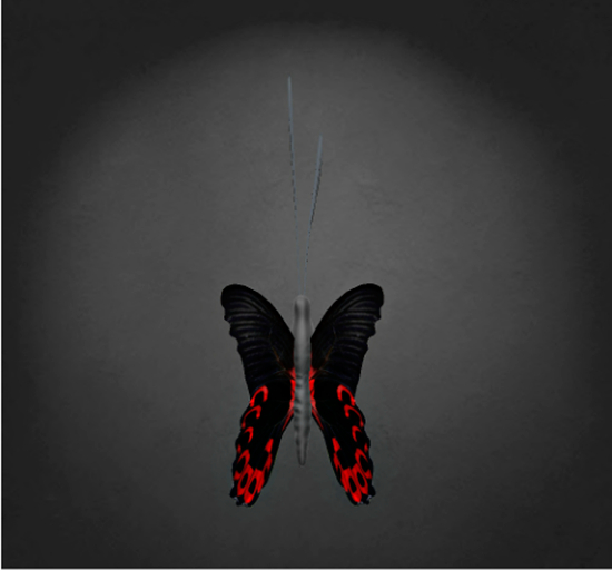 {Papillon} Fe/Mon/Bri/Fey/Butterfly/FaithfulA Cocoon