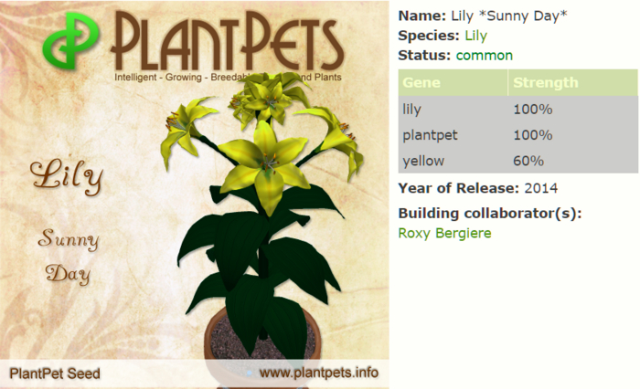 PlantPet Seed [Lily *Sunny Day*] 1