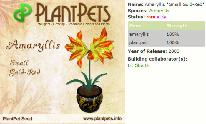 PlantPet Seed [Amaryllis *Small Gold-Red*]