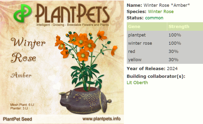 PlantPet Seed [Winter Rose *Amber*]
