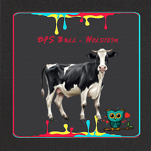 DFS Bull - Holstein 