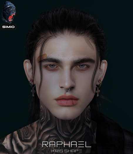 //SIMIO// RAPHAEL SHAPE
