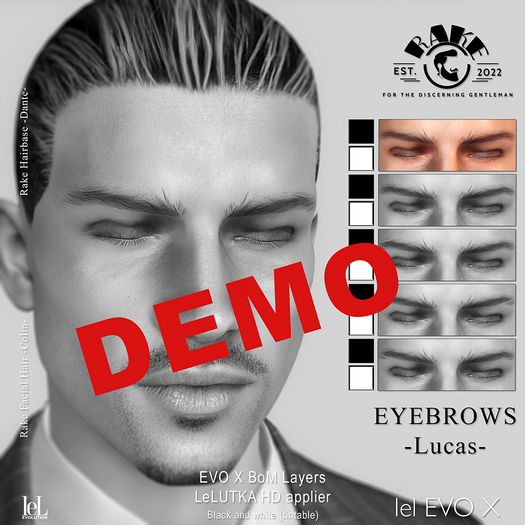 RAKE Eyebrows -Lucas- lel HD + EVOX DEMO