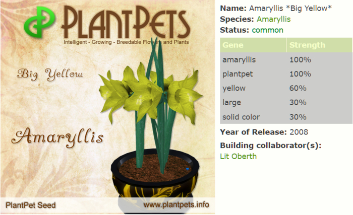 PlantPet Seed [Amaryllis *Big Yellow*]