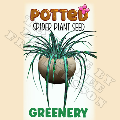 Potted: Spider Plant Seed: Greenery (ACTUAL PLANT SEED) - Retired!