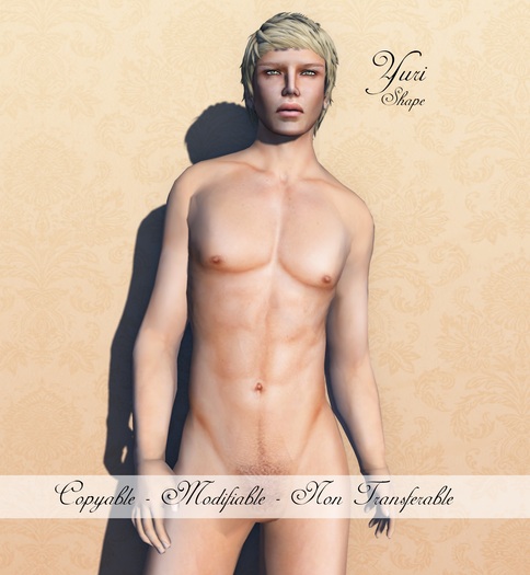 Male Shape - Yuri