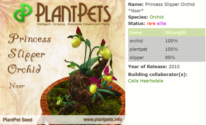 PlantPet Seed [Princess Slipper Orchid *Noor*]