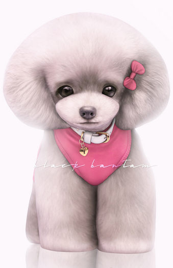[Black Bantam] My Dear Button Toy Poodle Set