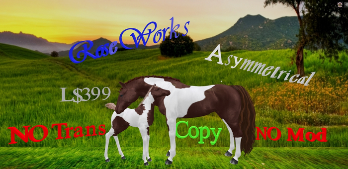 Rose works "Brownie" the pinto Teegle horse applier