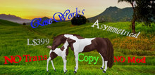 Rose works "Brownie" the pinto Teegle horse applier