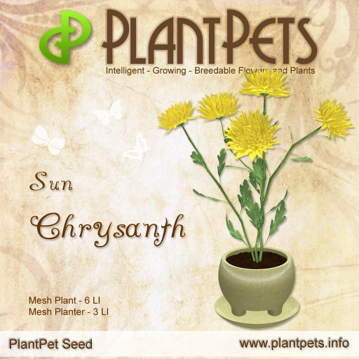 PlantPet Seed [Chrysanth *Sun*]