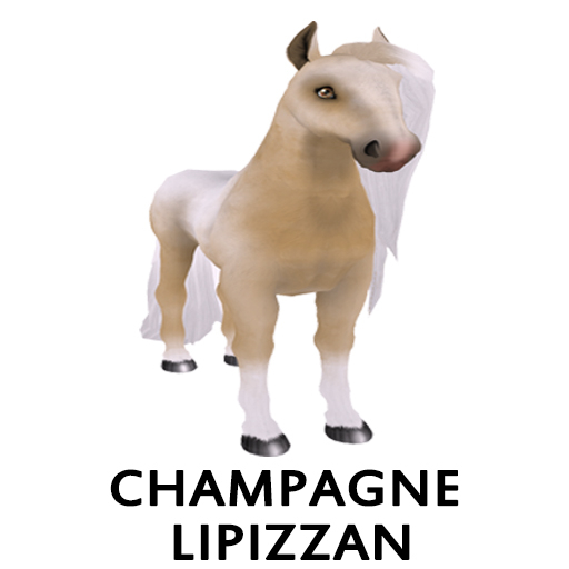 CLipizzan JupiterG FlowerBr Stud
