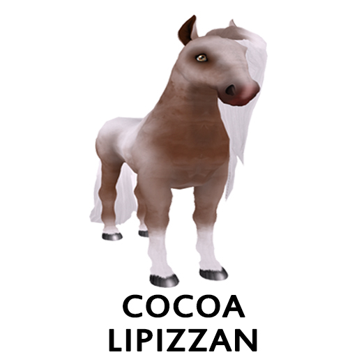 CoLipizzan JupiterGalaxy dbl Stud