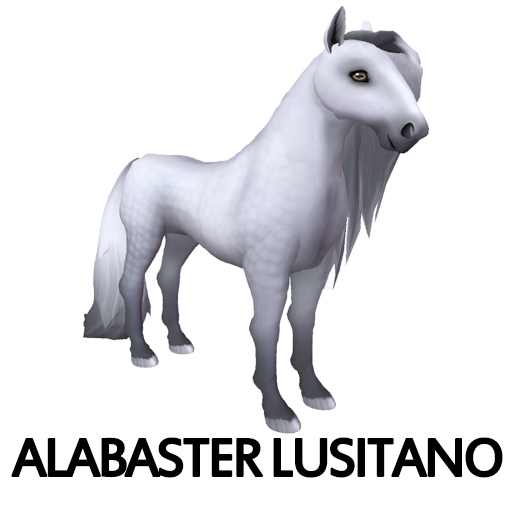 ALusitano Dbl Stud