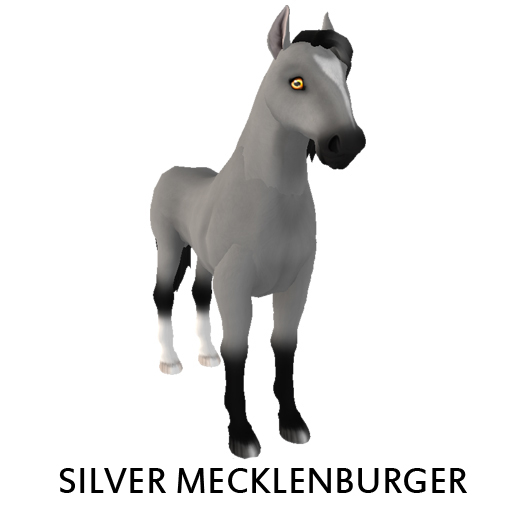 Silver Mecklenburger Cosmic Gal F