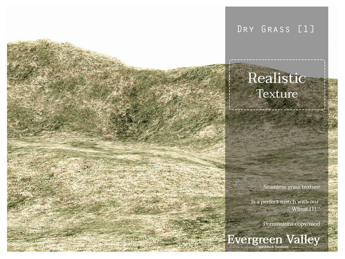 Dry Grass Texture