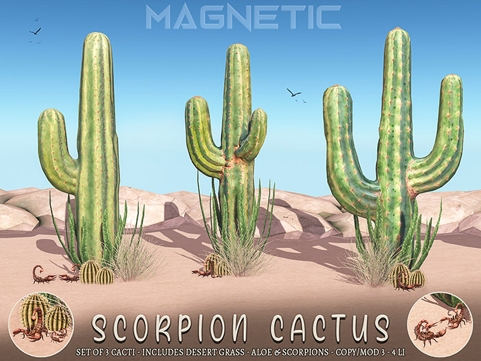 Magnetic - Scorpion Cactus
