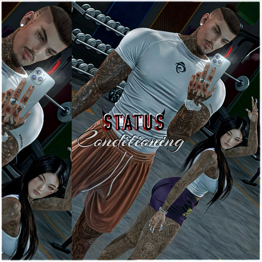 STATUS ~ Conditioning 