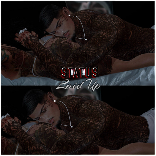 STATUS ~ Laid Up
