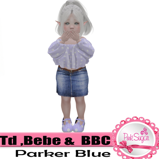 PS Parker Blue Box