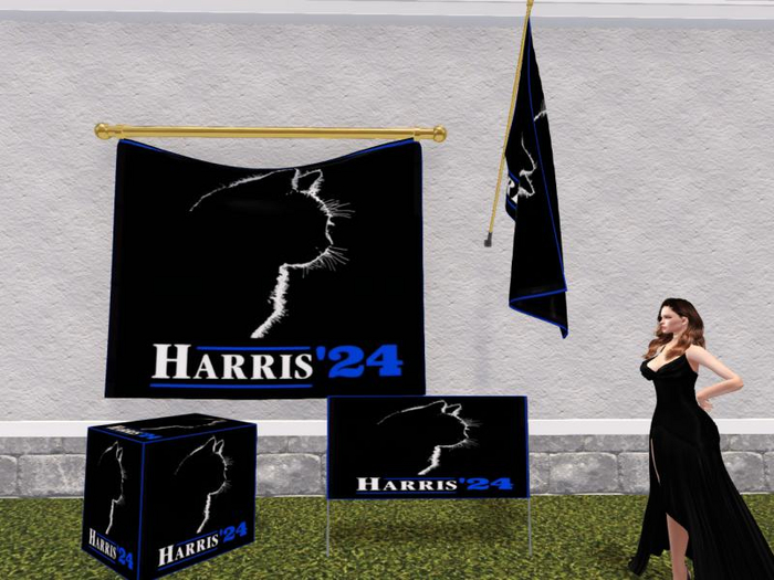 Cat 2024 election collection