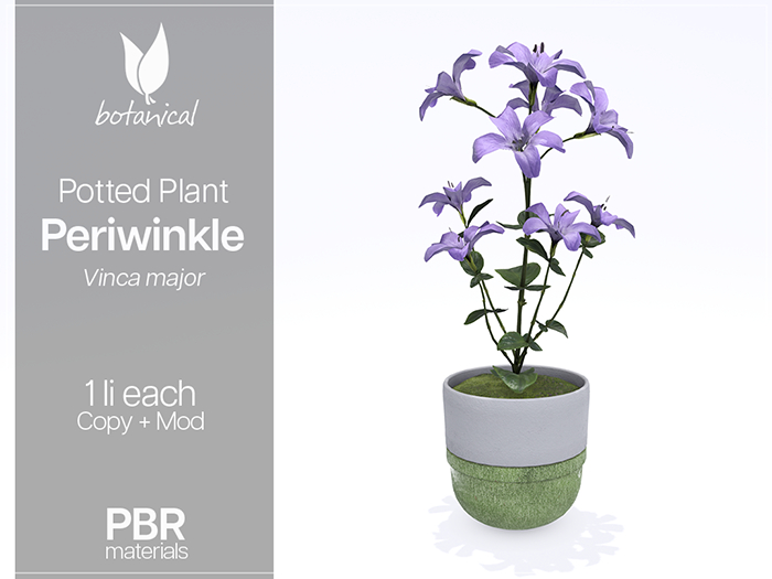 Botanical - Potted Plant - Periwinkle