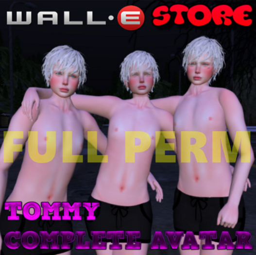 Wall-e Tommy Complete Avatar FULL PERMISSIONS