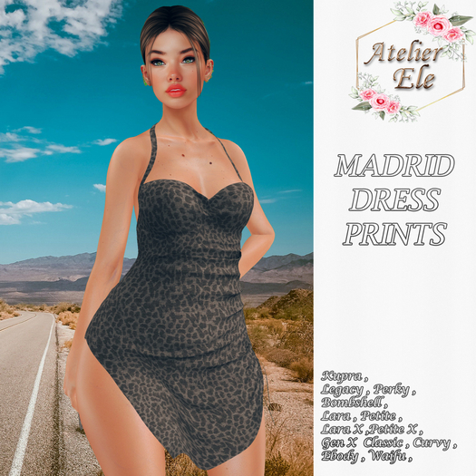 {AE} MADRID DRESS PRINT