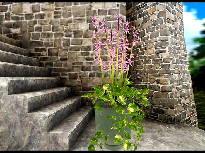 [AE] Home & Garden - Tall Mix Potted Plant - pink