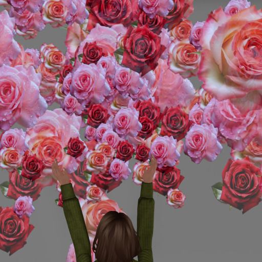 Flowers Roses Confetti Thrower Tosser