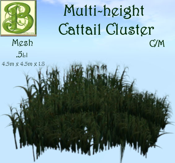 Bullrush 4 Plants Multi Height V2