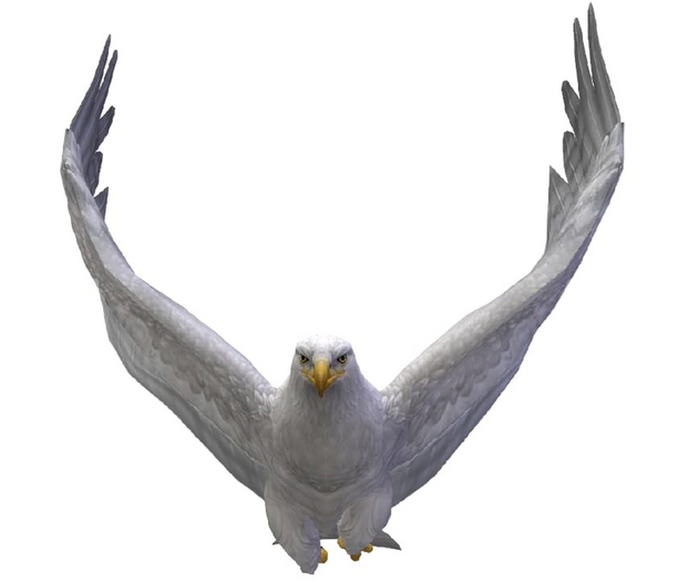 Eagle